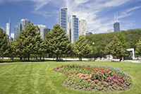 How Chicago's Sun Affects Your Teeth